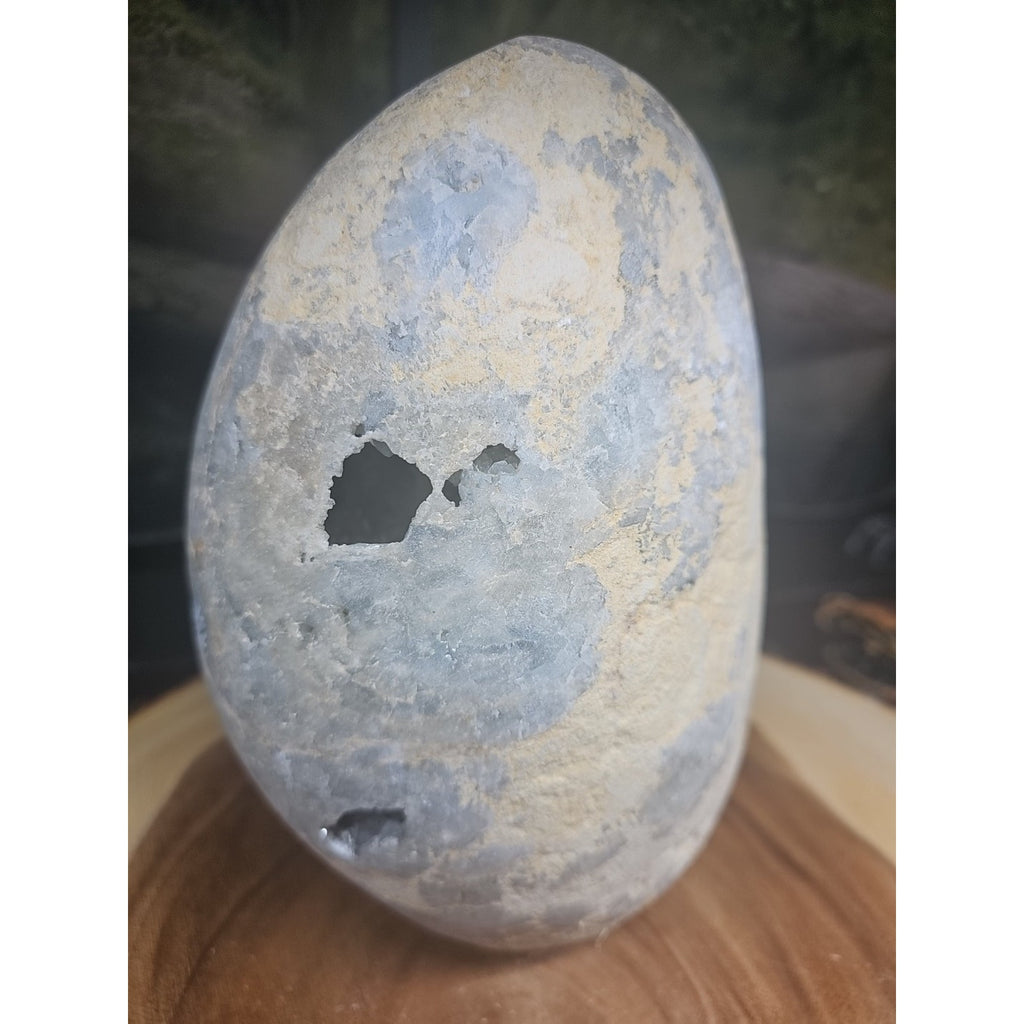 Large Baby Blue Celestite Geode Cluster — 13.6 lbs, 8 inches, Brazil | CrystalCloud Company by CrystalCloud Company