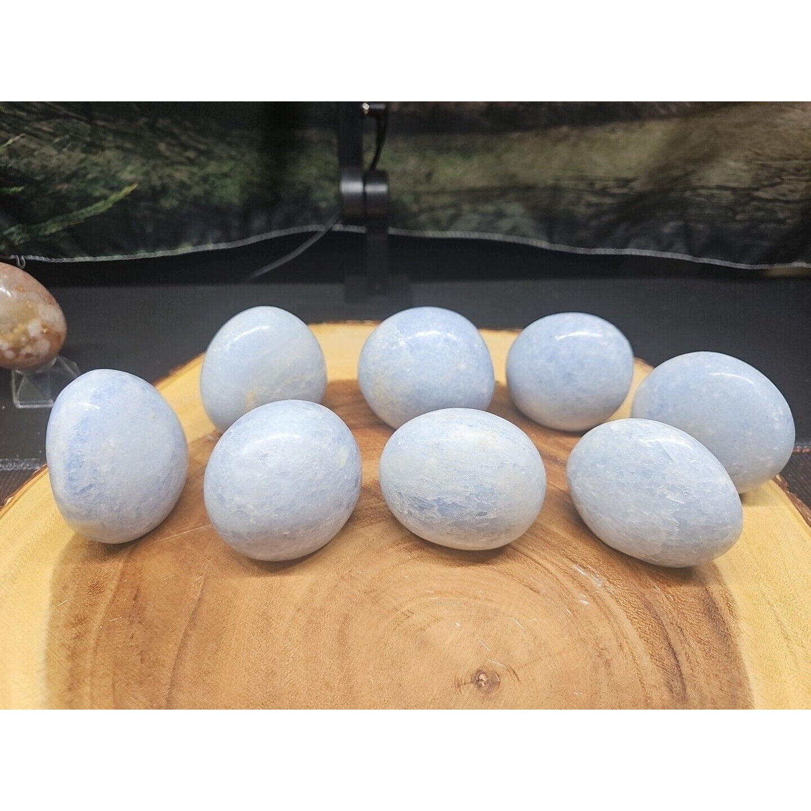 Baby Blue Celestite Crystal Palm Stones — 1 lb, 2-Piece Set from Brazil | CrystalCloud Company by CrystalCloud Company