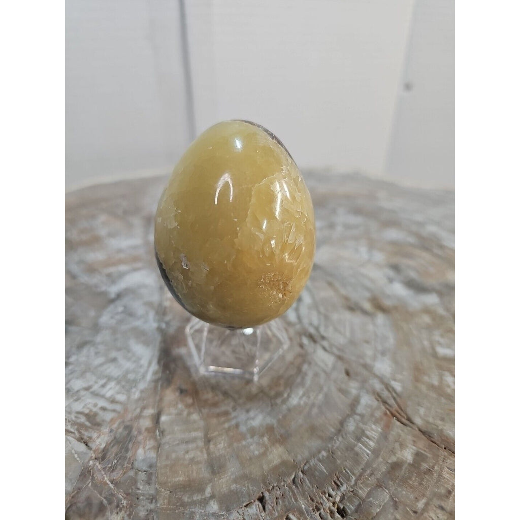 9.0oz Natural Septarian Dragon quartz Crystal egg Mineral Specimen W/Stand by CrystalCloud Company