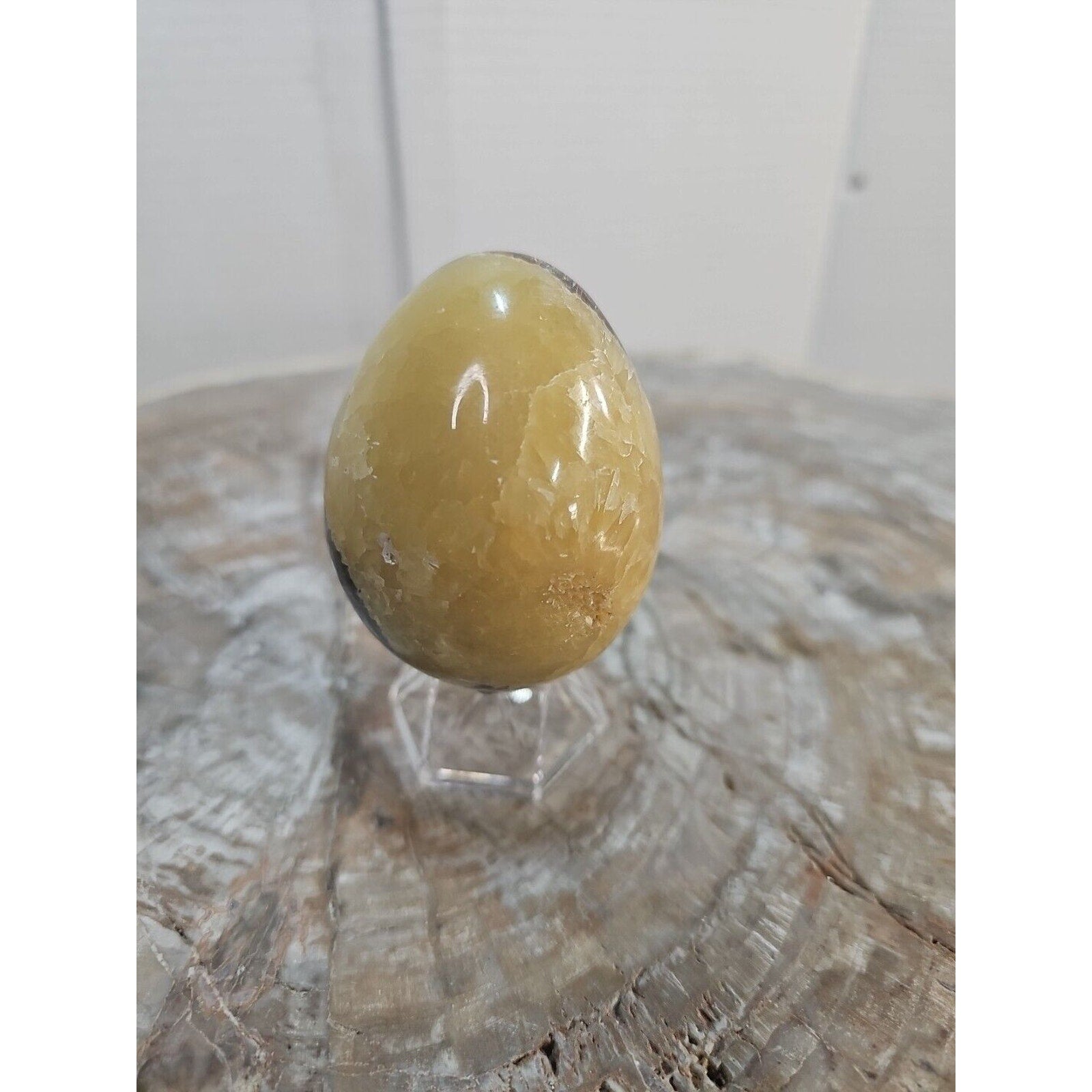9.0oz Natural Septarian Dragon quartz Crystal egg Mineral Specimen W/Stand by CrystalCloud Company