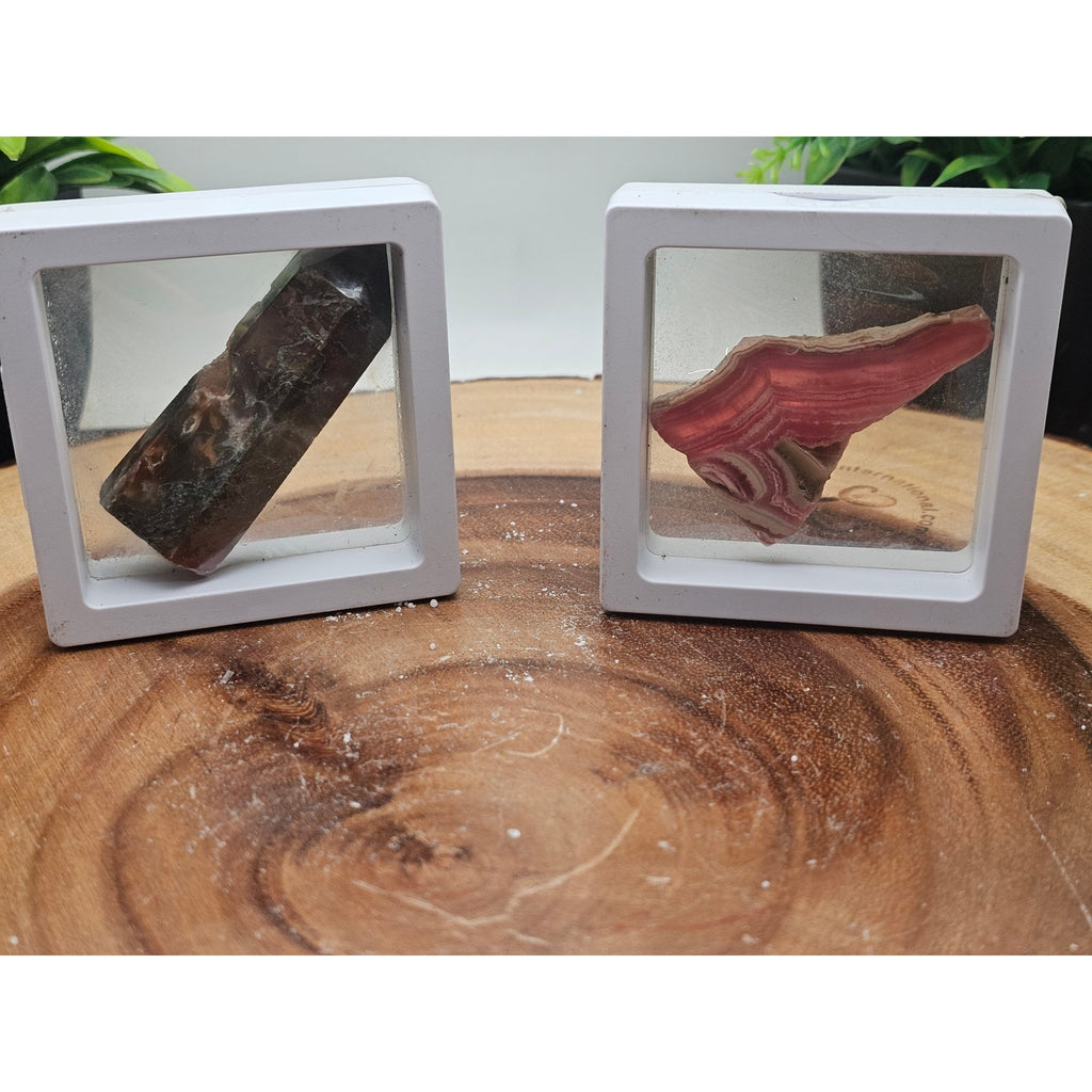 Moss Agate and Pink Banded Stone Set in Floating Display Frames