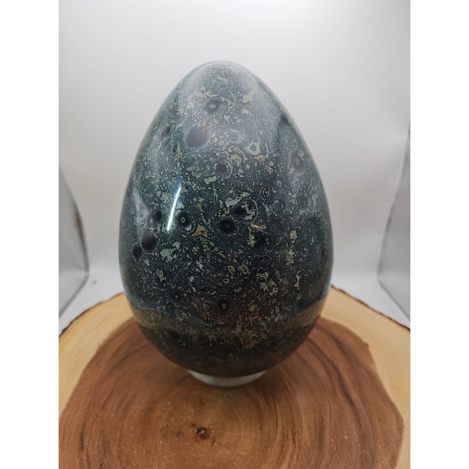 15.2LB Natural Kambaba Jasper Quartz Crystal With Jade Ring Stand by CrystalCloud Company