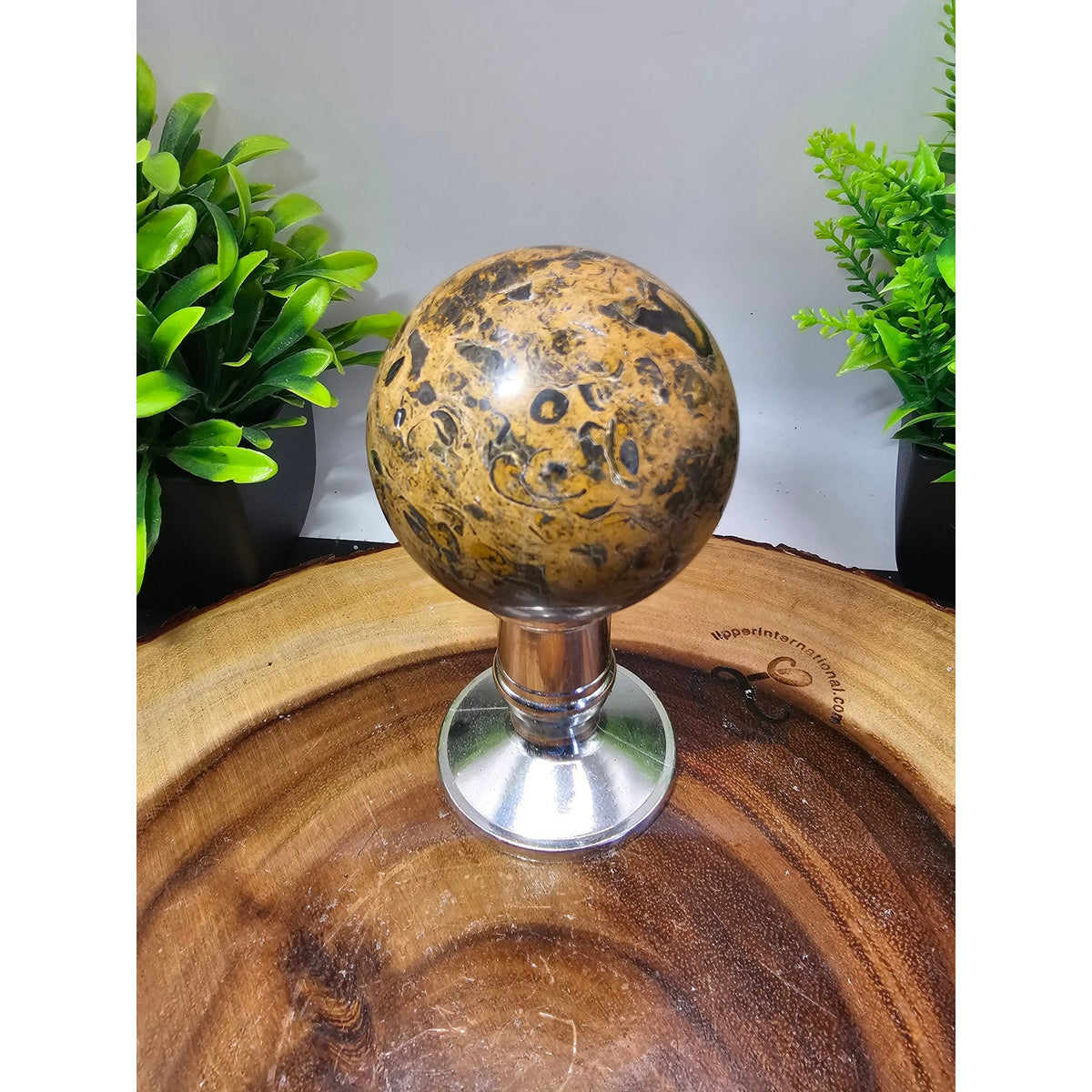 Mexican Crazy Lace Agate Sphere 55mm+ with Metal Stand