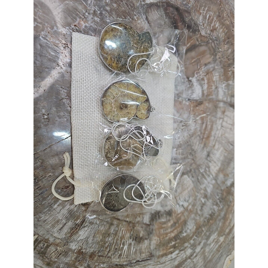Ammonite Fossil Pendant Necklace — Handmade with 18-inch Silver Chain | CrystalCloud Company by CrystalCloud Company