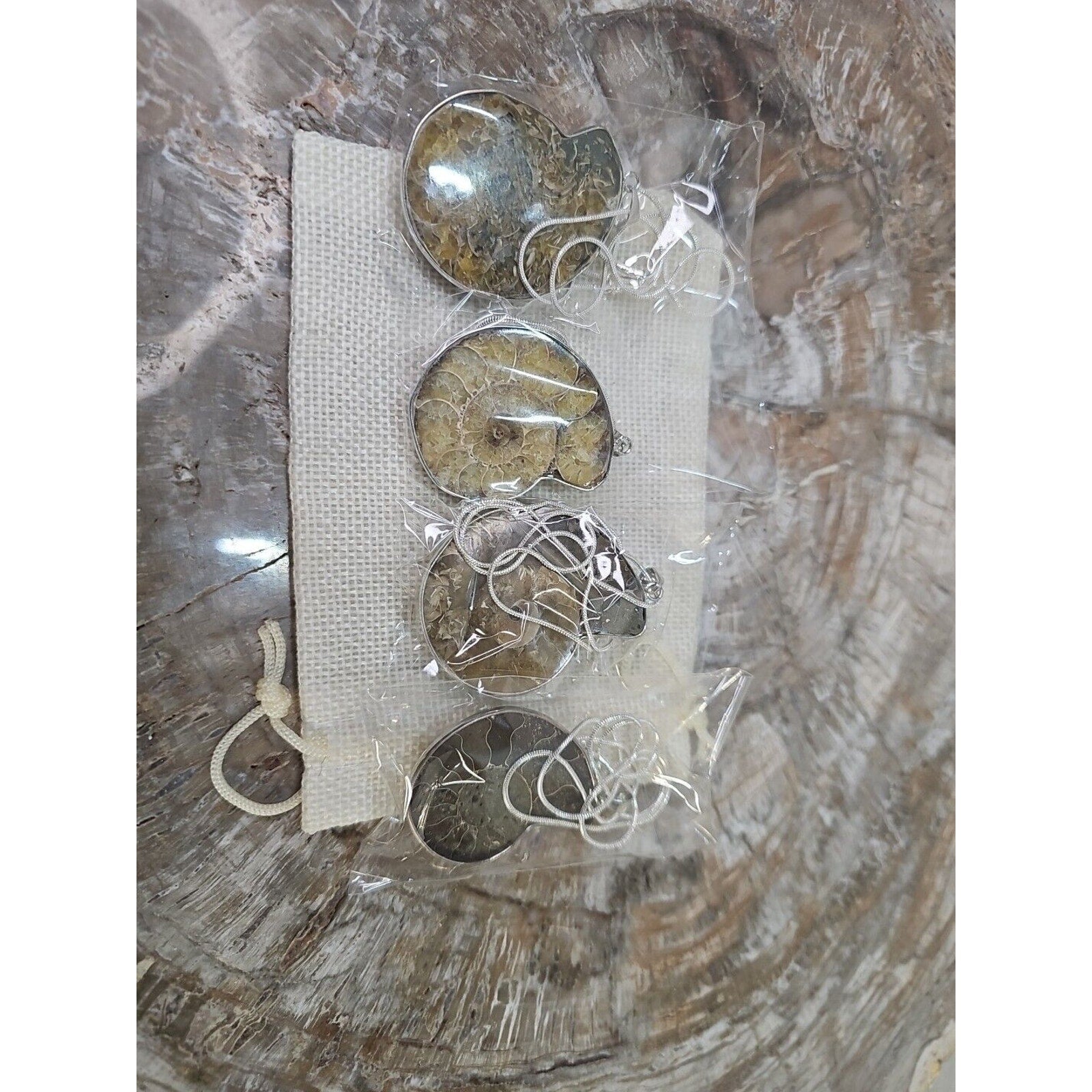 Ammonite Necklace Handmade 1 Pcs With 18in Silver Chain by CrystalCloud Company