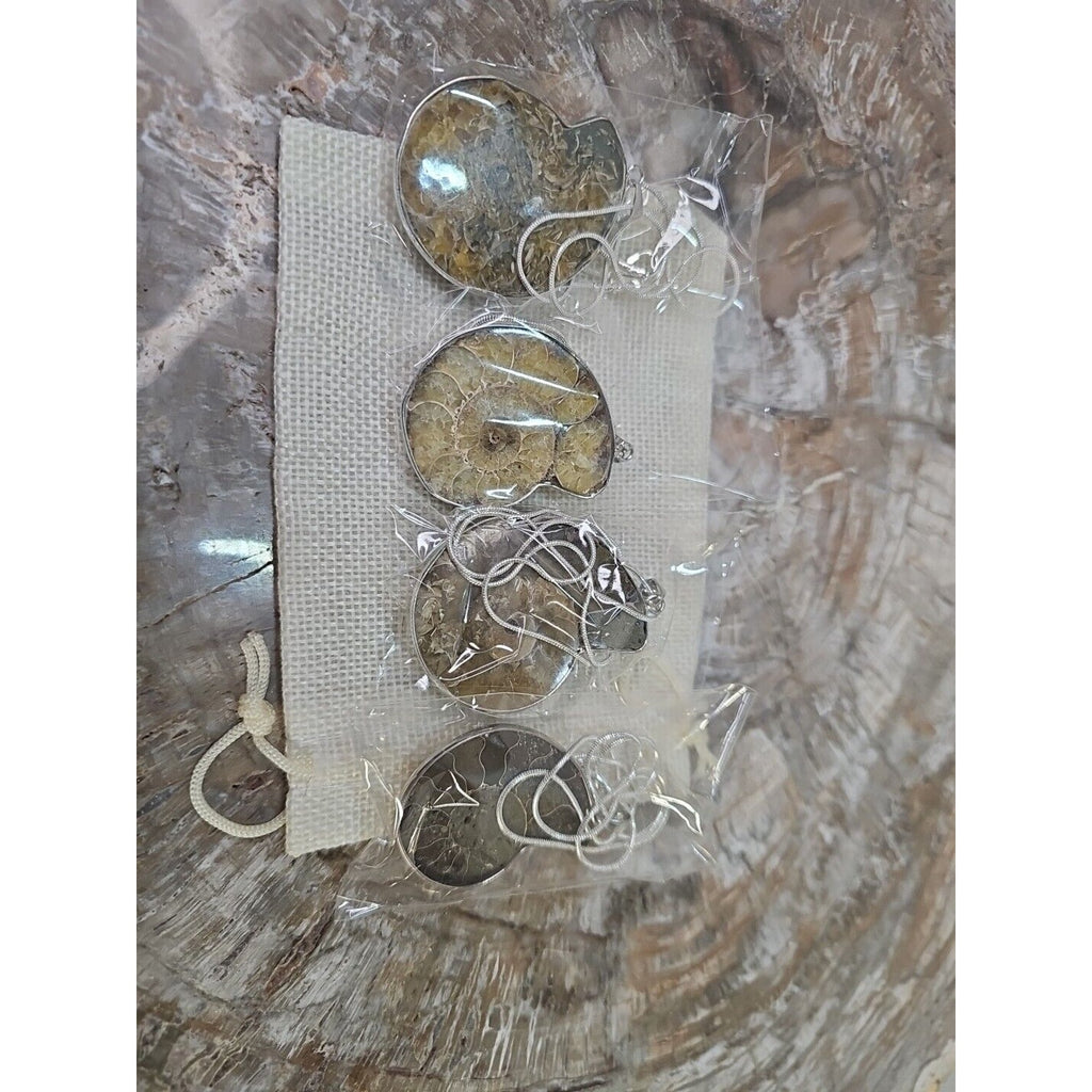 Ammonite Necklace Handmade 1 Pcs With 18in Silver Chain by CrystalCloud Company