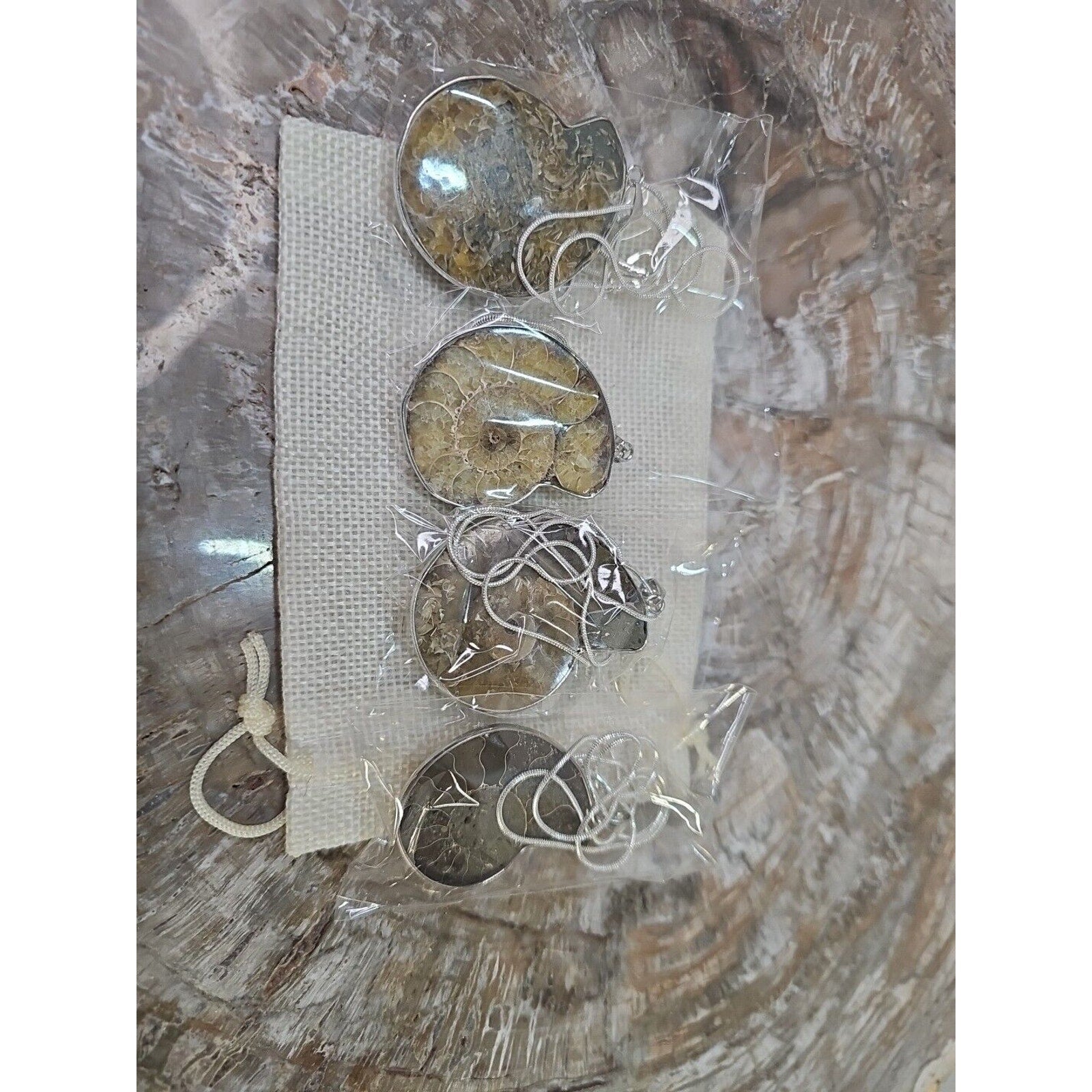 Ammonite Necklace Handmade 1 Pcs With 18in Silver Chain by CrystalCloud Company