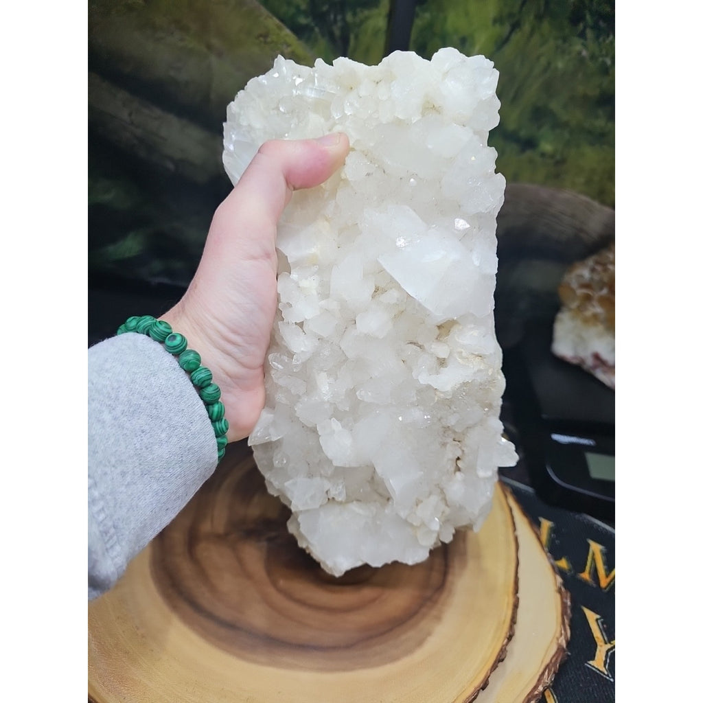 6.2 Lbs White Crystal Quartz by CrystalCloud Company