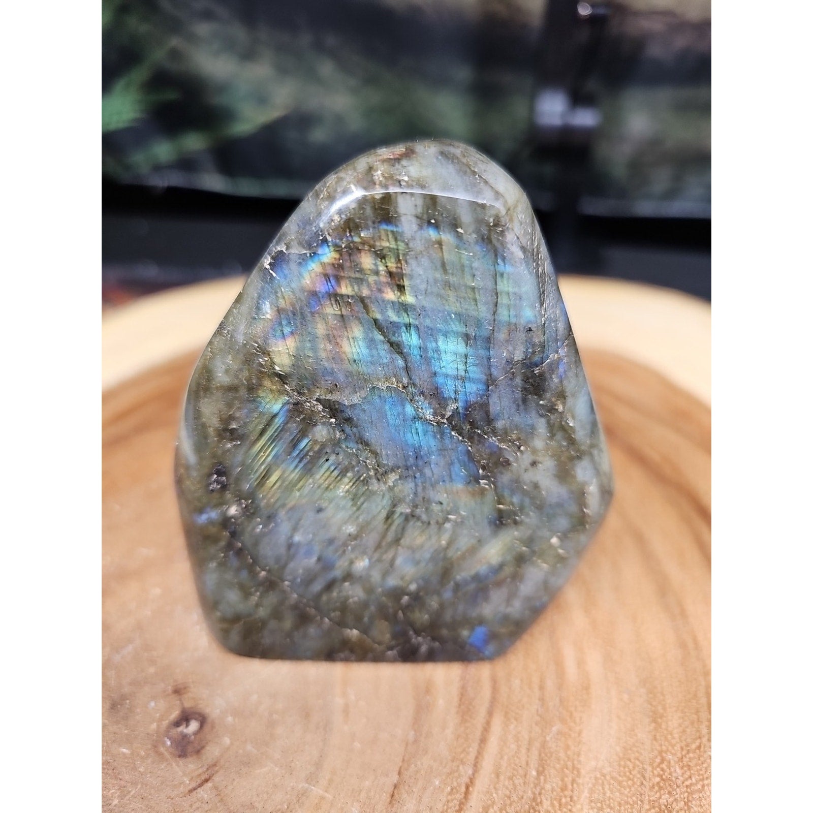 1.48LB 1Pcs Natural Rainbow Labradorite Crystal Spectrolite Stone by CrystalCloud Company