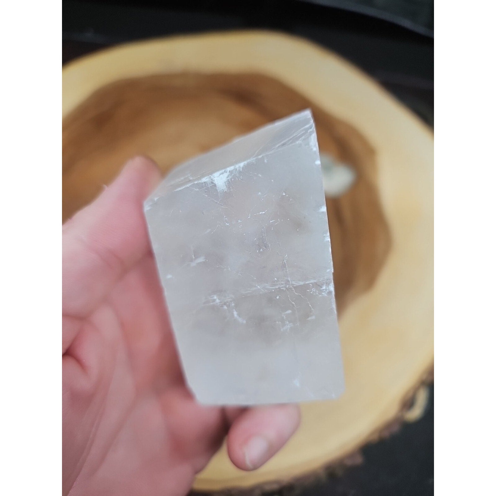 Ammonite Fossil W/Selenite Base 260g by CrystalCloud Company