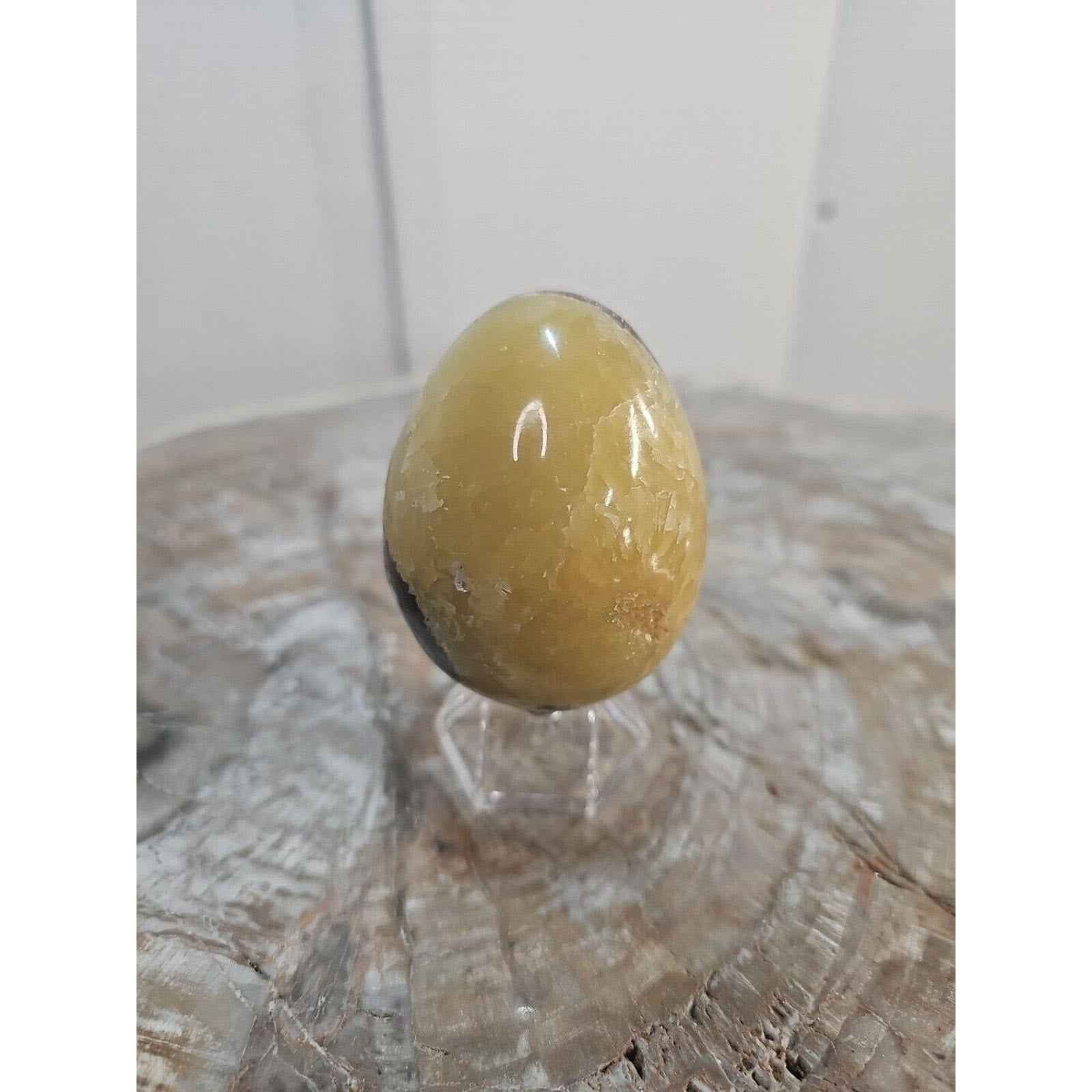 9.0oz Natural Septarian Dragon quartz Crystal egg Mineral Specimen W/Stand by natural