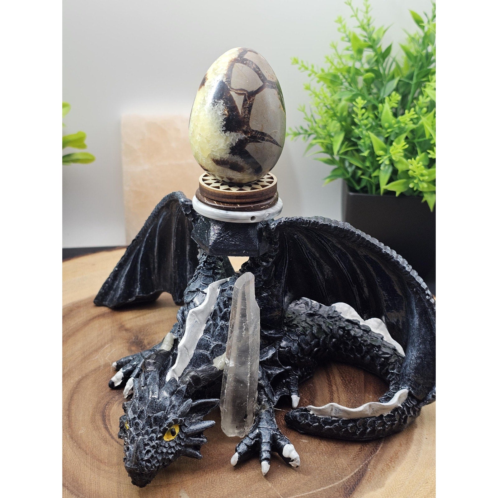 Septarian dragon geode by CrystalCloud Company