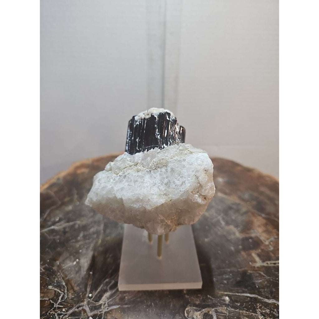 Black Tourmaline Raw Mineral Specimen — 1.11 lbs, Rough Natural Crystal | CrystalCloud Company by CrystalCloud Company
