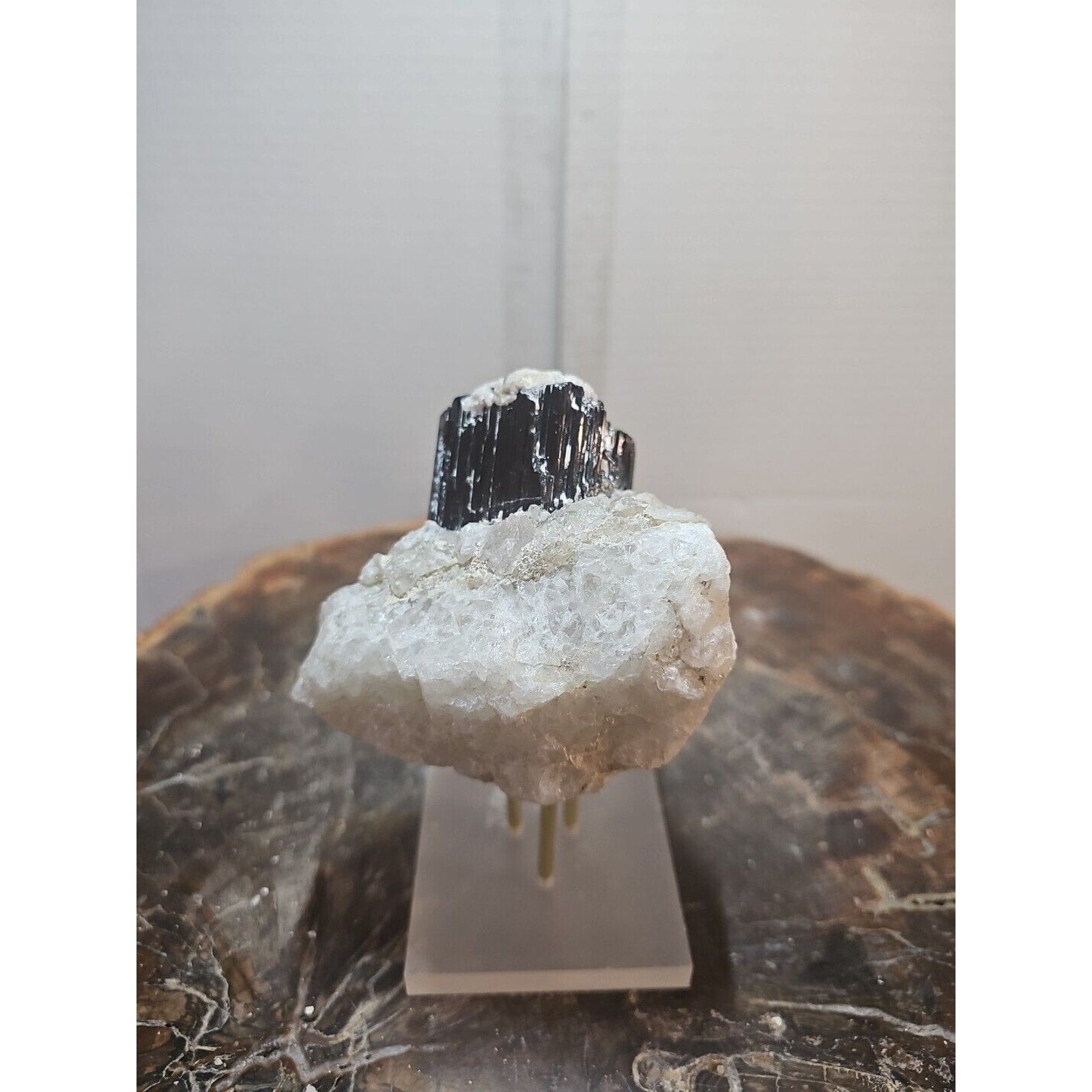 Black Tourmaline Raw Mineral Specimen — 1.11 lbs, Rough Natural Crystal | CrystalCloud Company by CrystalCloud Company