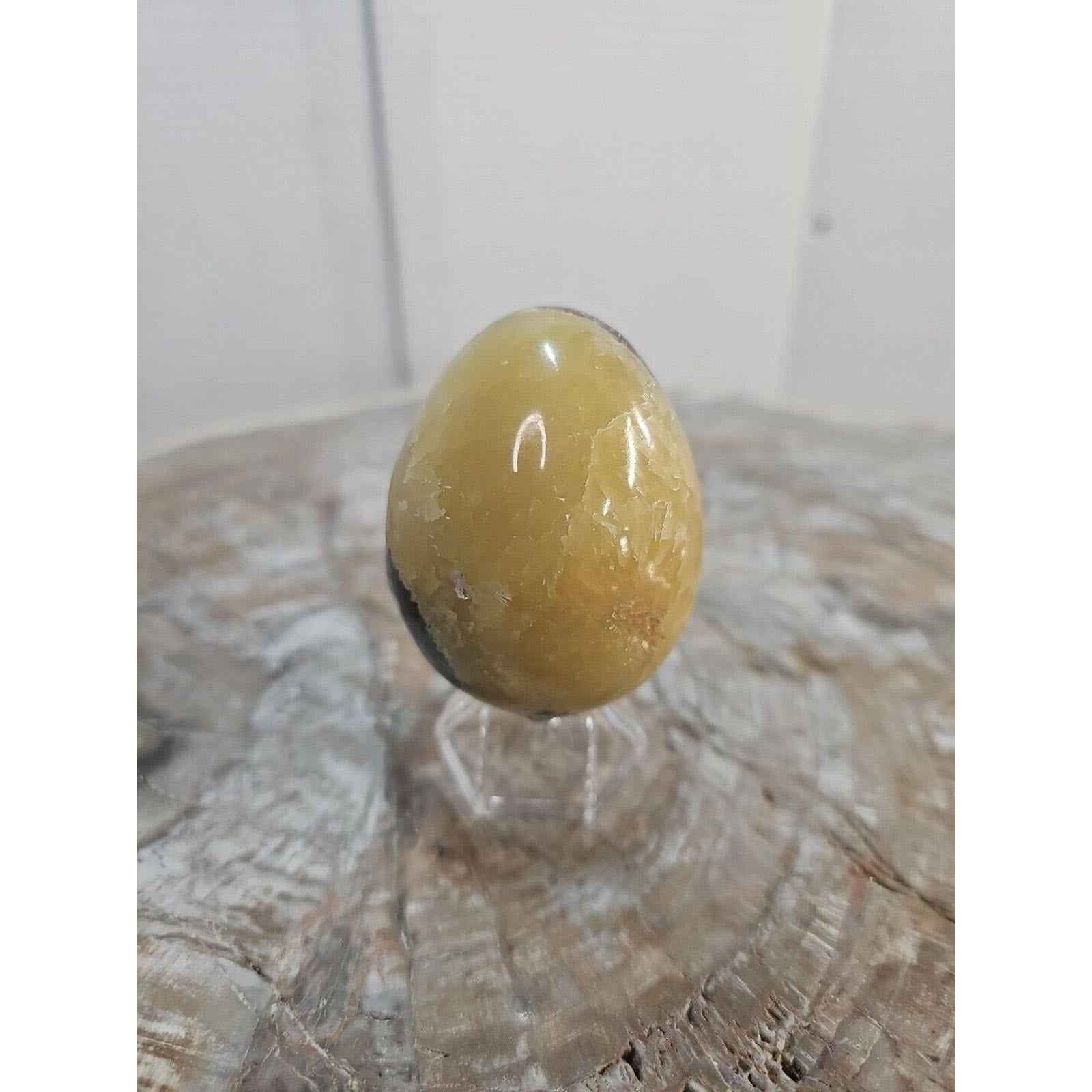 9.0oz Natural Septarian Dragon quartz Crystal egg Mineral Specimen W/Stand by natural