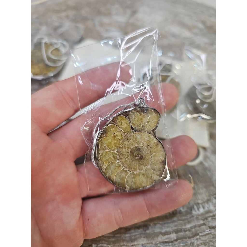 Ammonite Necklace Handmade 1 Pcs With 18in Silver Chain by CrystalCloud Company