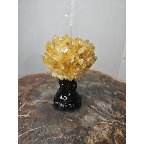1.12LB Yellow Phantom Quartz Crystal Cluster Mineral Specimen W/Stand by CrystalCloud Company