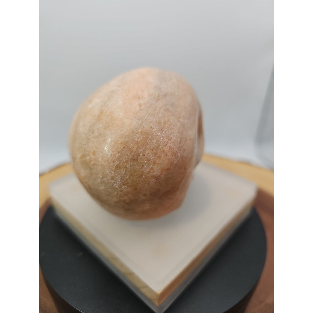 1.24lb Natural Jasper Calcite Skulls Crystal Carving Mixed Stones Healing by CrystalCloud Company