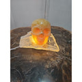 1.62LB Natural Yellow Translucent Calcite Crystal Skull W/Selenite Base & Led by CrystalCloud Company