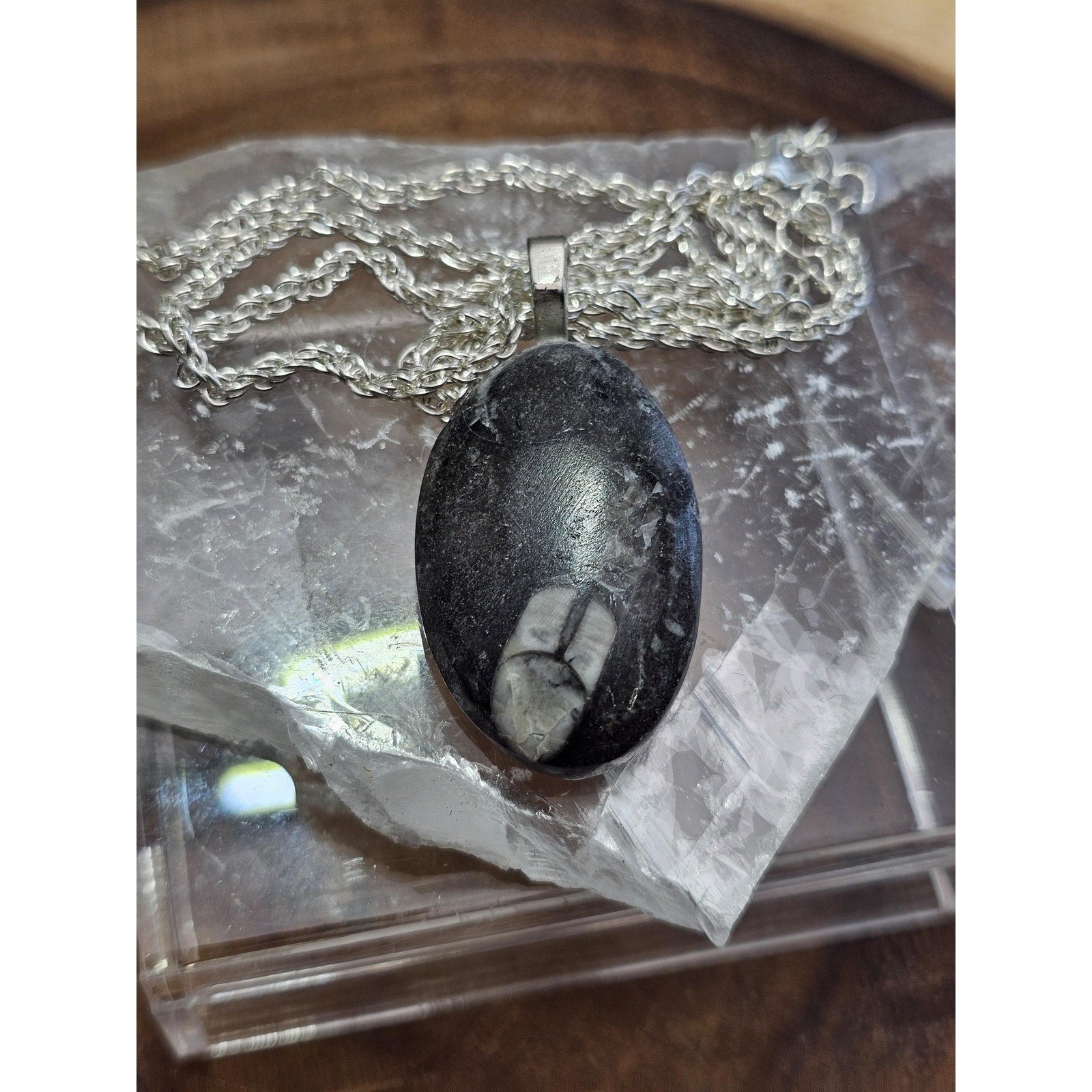 Orthoceras fossil pendant w/925 silver by CrystalCloud Company