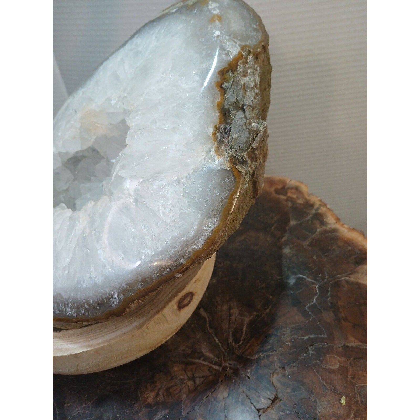 Large Natural Madagascar Agate Geode — 19.3 lbs, Museum-Quality Quartz Specimen | CrystalCloud Company by CrystalCloud Company