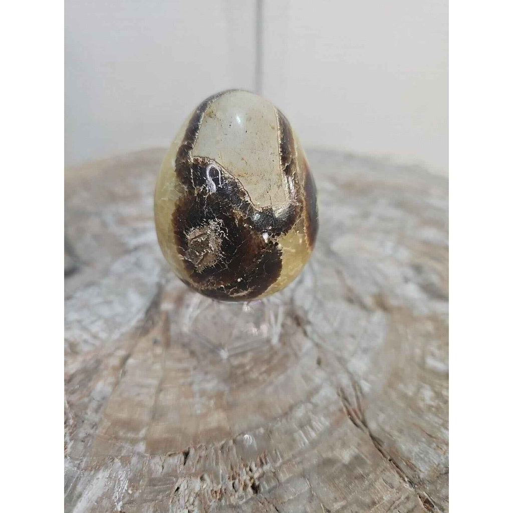 9.0oz Natural Septarian Dragon quartz Crystal egg Mineral Specimen W/Stand by natural