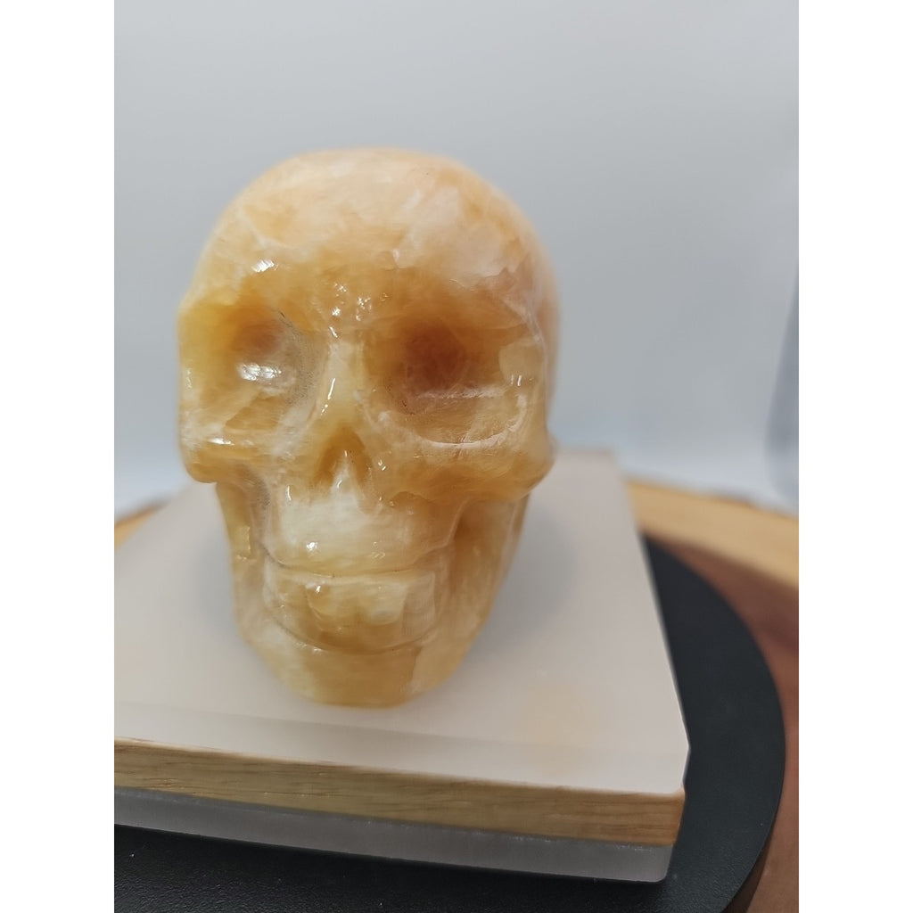 .89lb Natural Jasper Calcite Skulls Crystal Carving Mixed Stones Healing by CrystalCloud Company