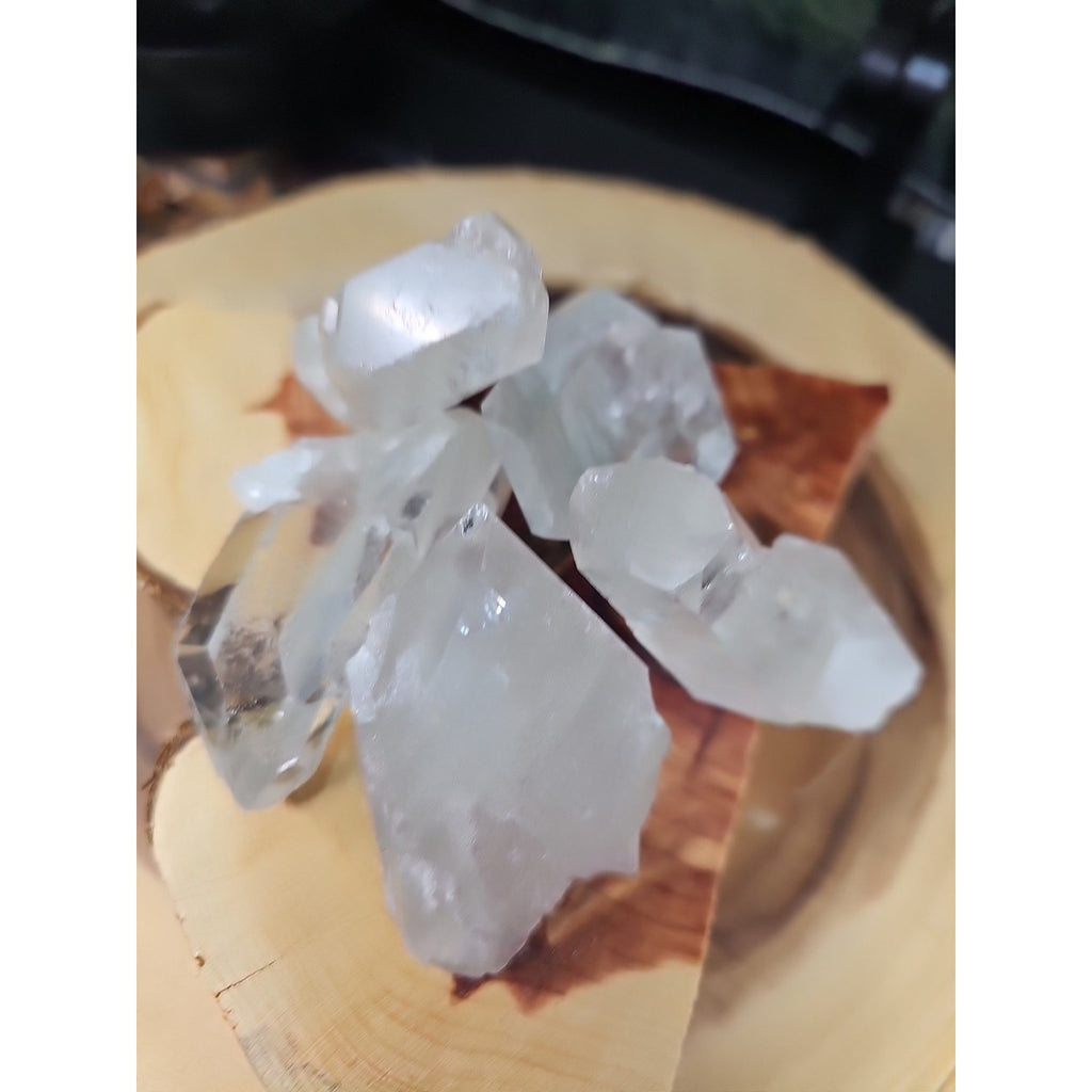 Brazilian Quartz Crystal W/wood Base .77lb Crystals by CrystalCloud Company
