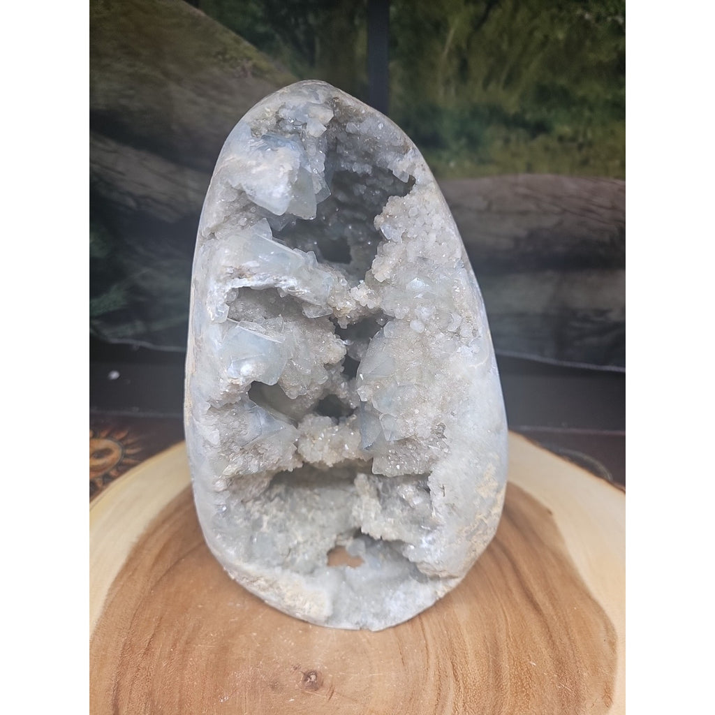Large Baby Blue Celestite Geode Cluster — 13.6 lbs, 8 inches, Brazil | CrystalCloud Company by CrystalCloud Company