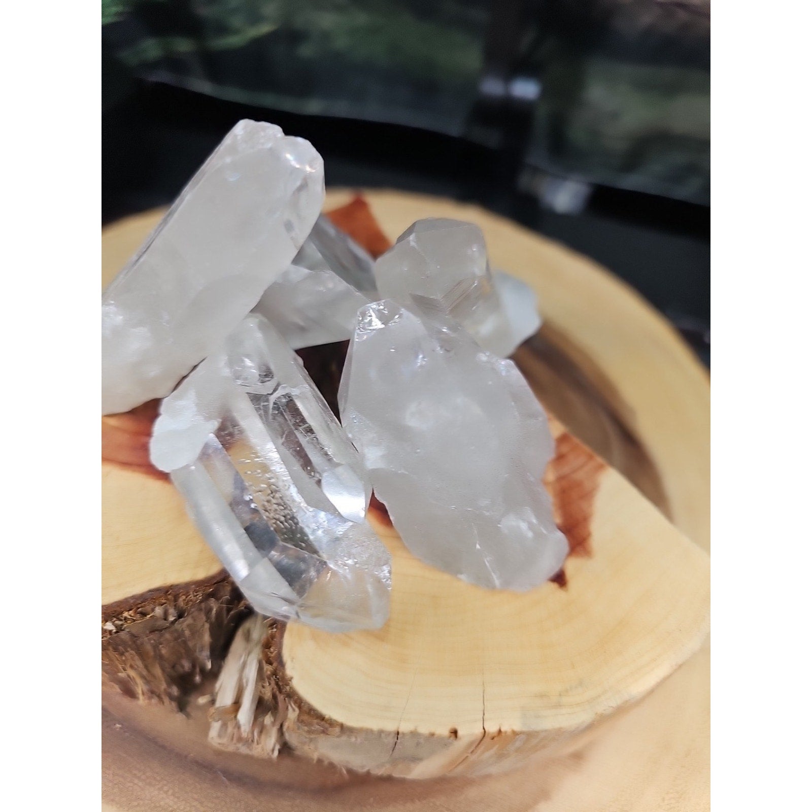 Brazilian Quartz Crystal W/wood Base .77lb Crystals by CrystalCloud Company