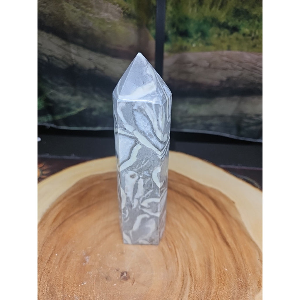 1000 Eye Jasper Crystal Tower — 1.76 lbs, 7.5 inches, Madagascar | CrystalCloud Company by CrystalCloud Company