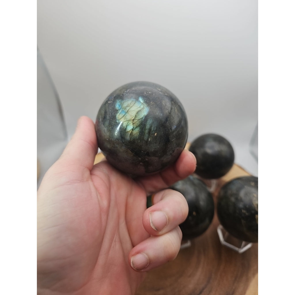 1LB 1Pcs Natural Rainbow Labradorite Crystal Sphere Ball Polished w/stand by CrystalCloud Company