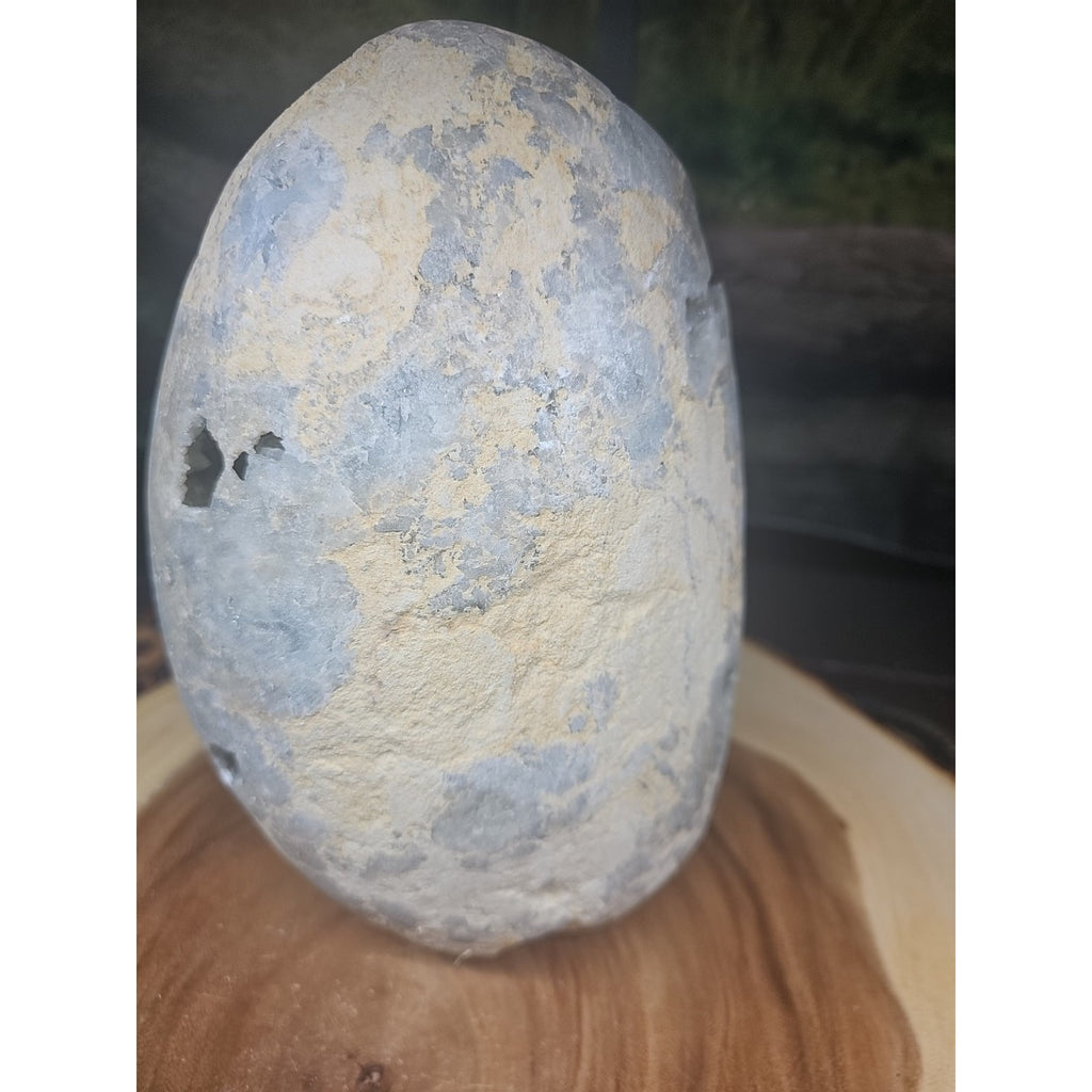 Large Baby Blue Celestite Geode Cluster — 13.6 lbs, 8 inches, Brazil | CrystalCloud Company by CrystalCloud Company
