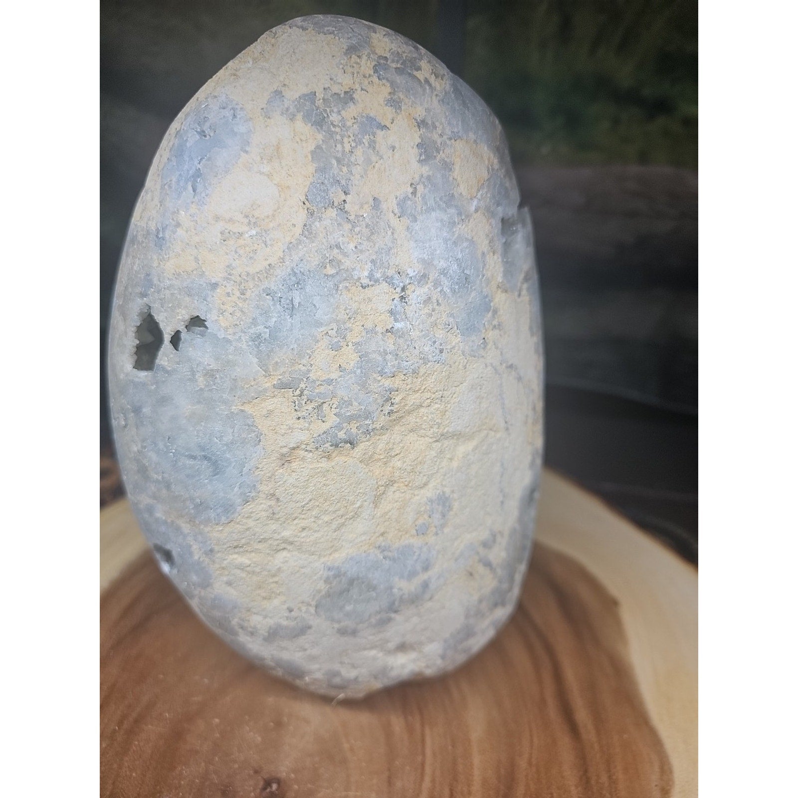 Large Baby Blue Celestite Geode Cluster — 13.6 lbs, 8 inches, Brazil | CrystalCloud Company by CrystalCloud Company