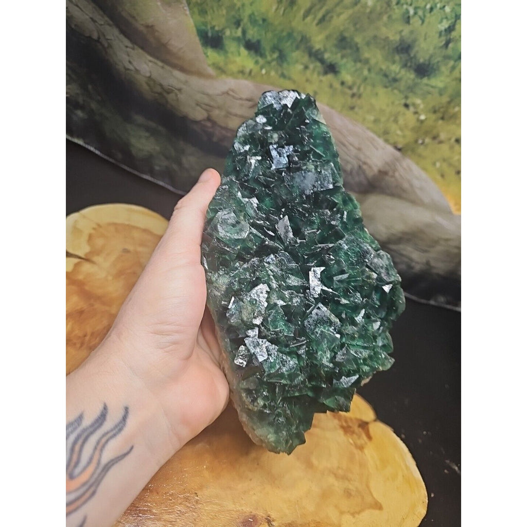 3.2lb NATURAL Green FLUORITE Quartz Crystal Cluster Mineral Specimen by CrystalCloud Company