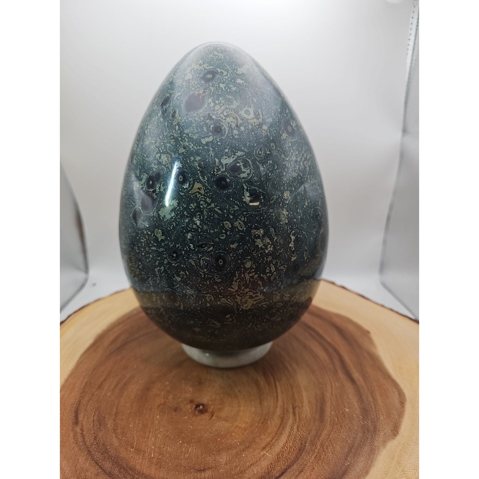 15.2LB Natural Kambaba Jasper Quartz Crystal With Jade Ring Stand by CrystalCloud Company