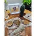 Crystal Set Lot — Ammonites, Selenite Slab, Amethyst, Clear Quartz, Green Quartz Tower, Ocean Jasper