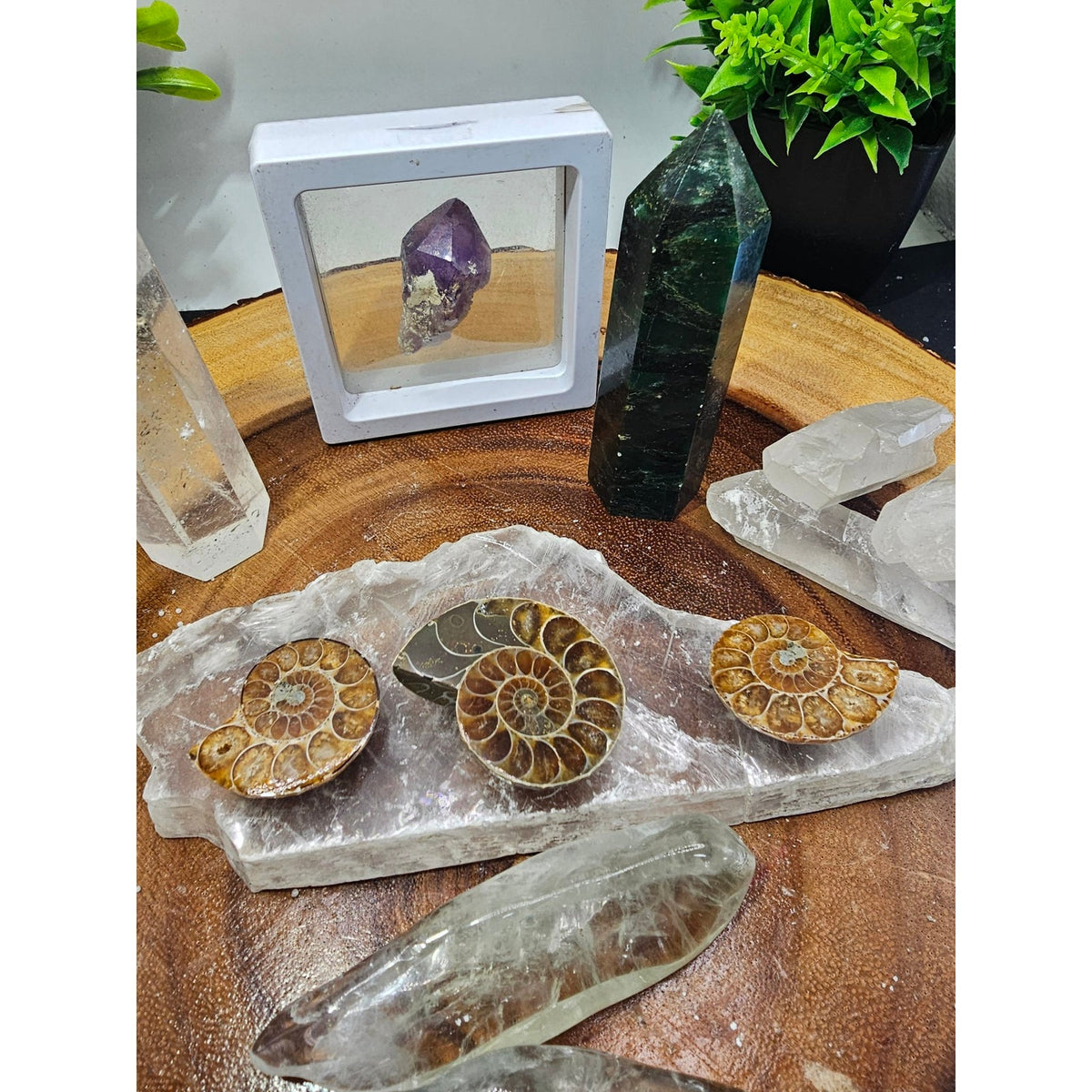 Crystal Set Lot — Ammonites, Selenite Slab, Amethyst, Clear Quartz, Green Quartz Tower, Ocean Jasper