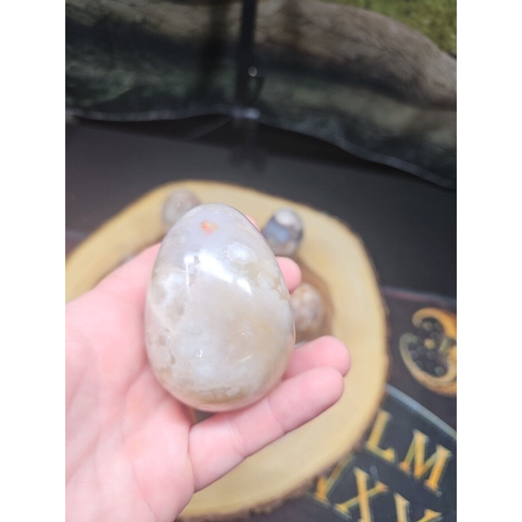 1lb 2pcs Natural Phantom Flower Carnelian Agate Crystal Geode Egg Carved Healing by CrystalCloud Company