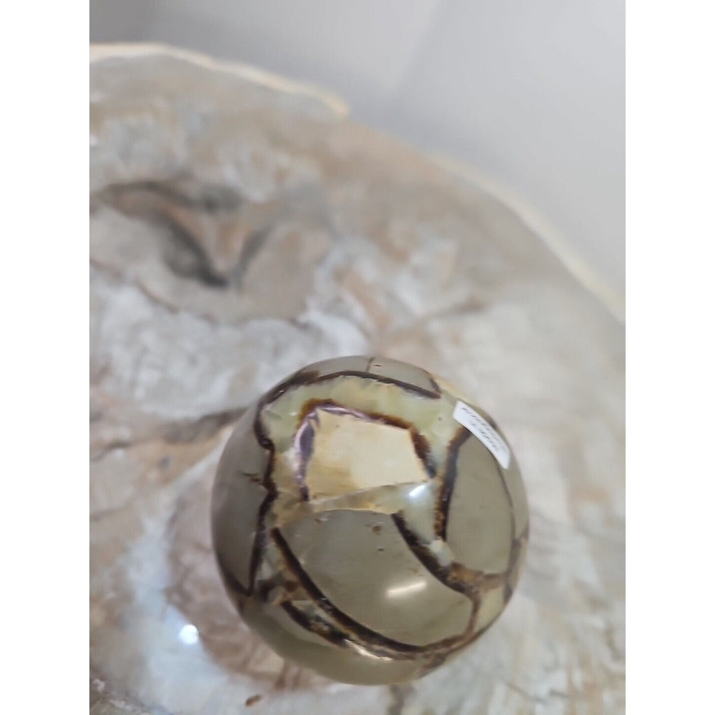 1pcs 241g Natural Septarian Sphere Crystal Healing Energy by CrystalCloud Company