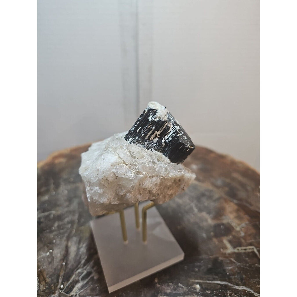 Black Tourmaline Raw Mineral Specimen — 1.11 lbs, Rough Natural Crystal | CrystalCloud Company by CrystalCloud Company
