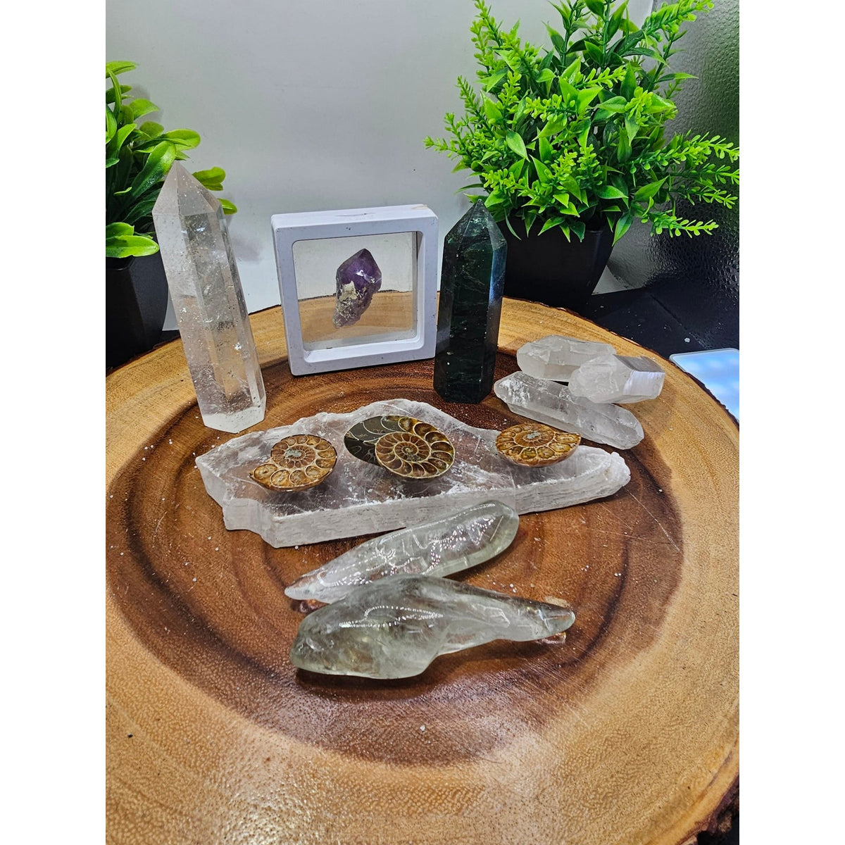 Crystal Set Lot — Ammonites, Selenite Slab, Amethyst, Clear Quartz, Green Quartz Tower, Ocean Jasper