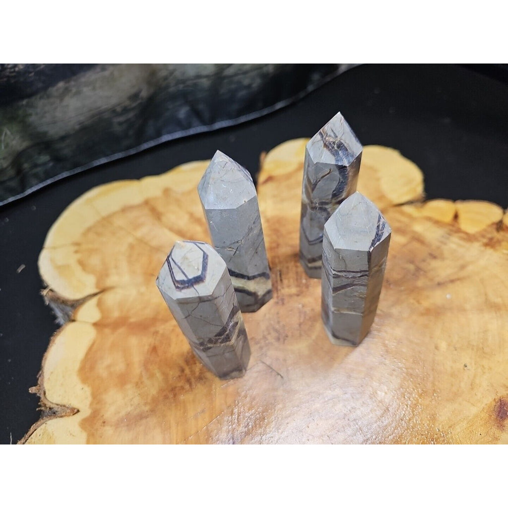 Dragon Septarian Geode Cluster Set — 1 lb, 4 Pieces from Madagascar | CrystalCloud Company by CrystalCloud Company