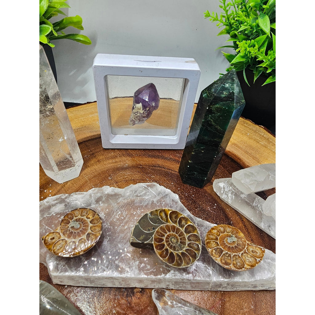 Crystal Set Lot — Ammonites, Selenite Slab, Amethyst, Clear Quartz, Green Quartz Tower, Ocean Jasper