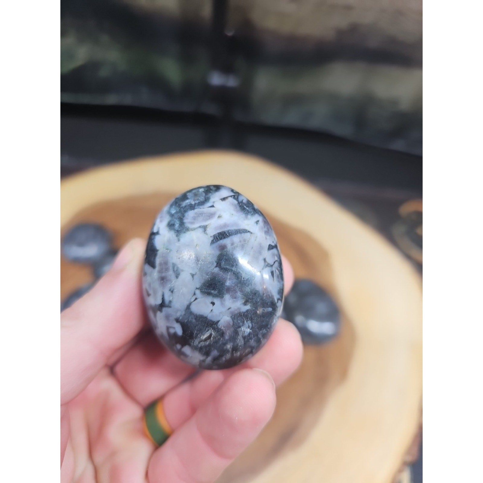 5Pcs Natural Polychrome Merlinite Gabbro Crystal Palm Stone by CrystalCloud Company