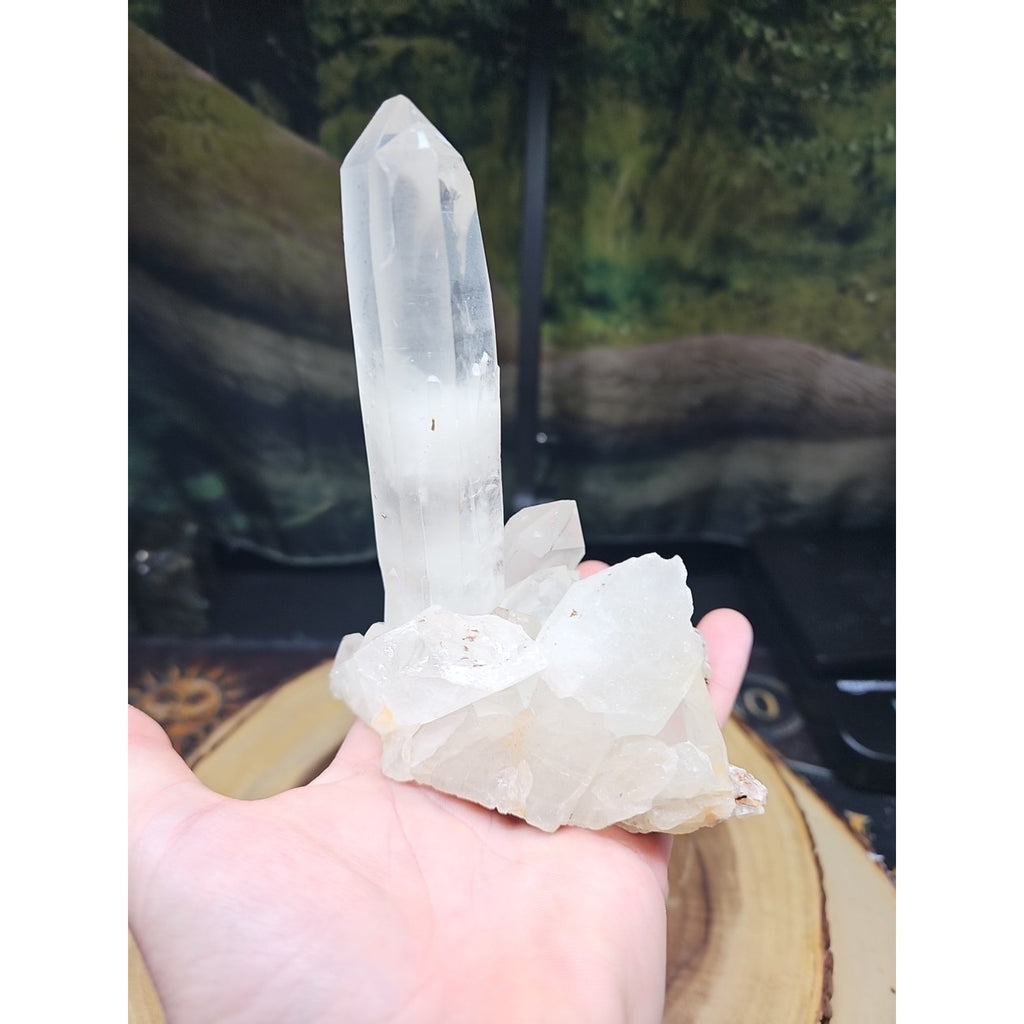 1.28LB Natural Clear White Quartz Crystal Cluster Energy Healing Specimen by CrystalCloud Company