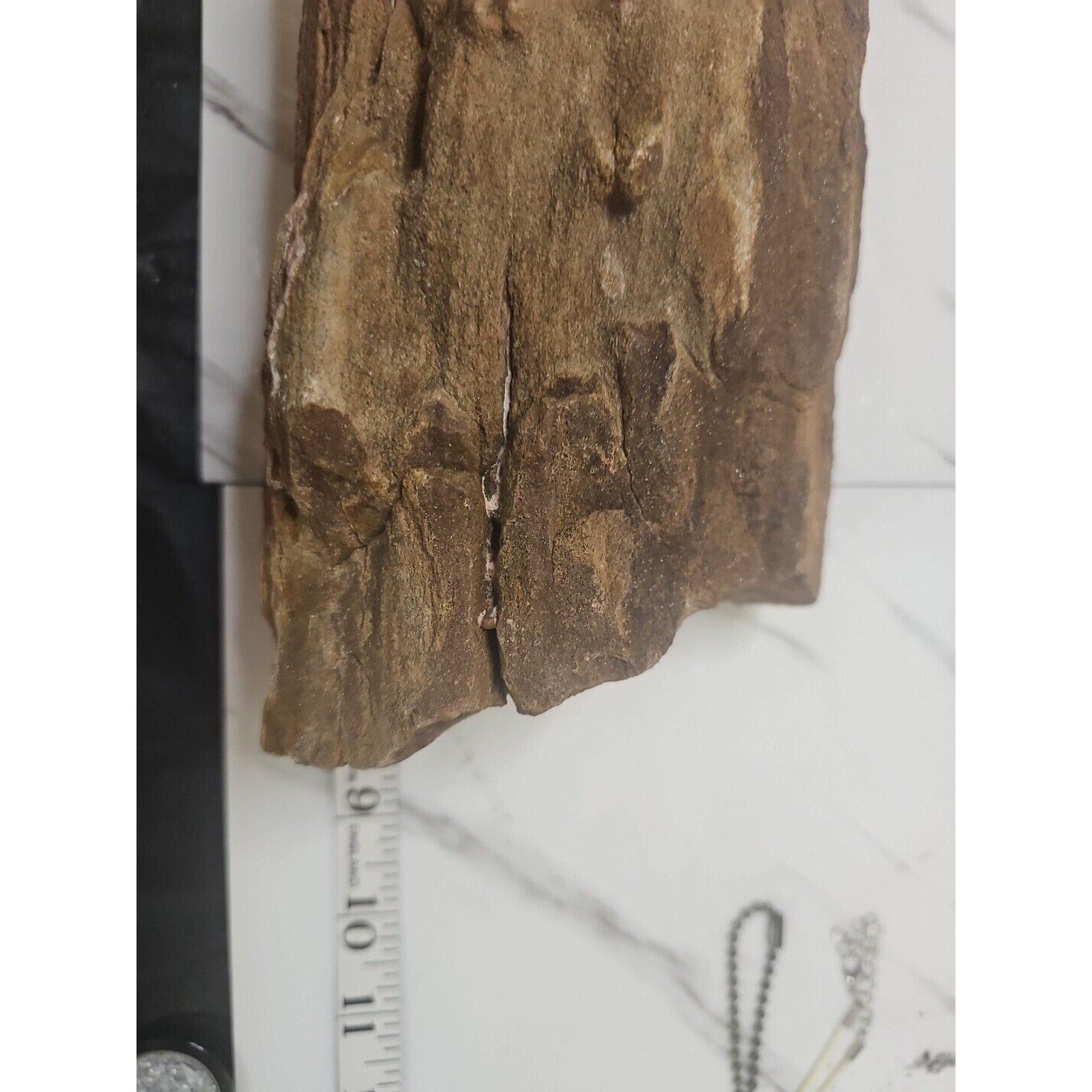 ❤️‍🔥Texas Petrified Wood! Raw Cool Details W/Stand Great Display by CrystalCloud Company