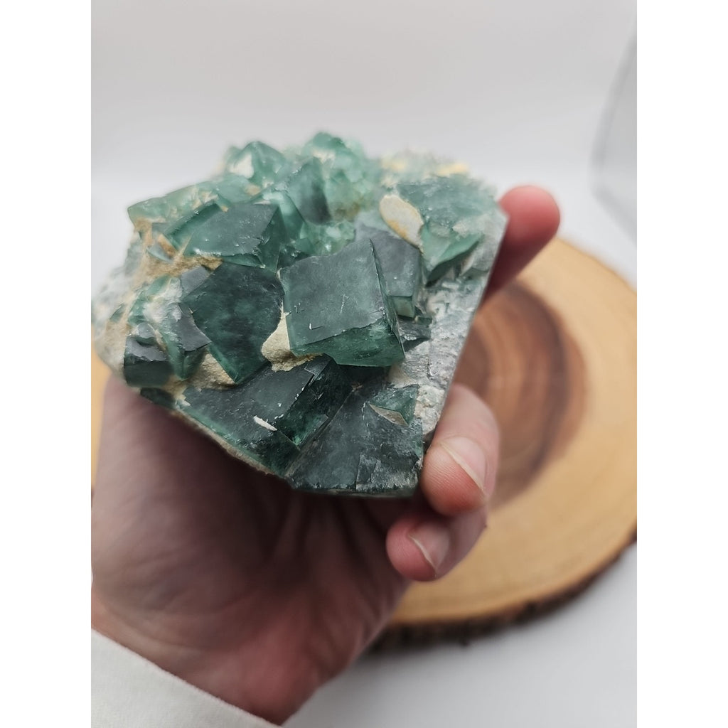Raw Chunk Fluorite 1.27lb With Stand by CrystalCloud Company