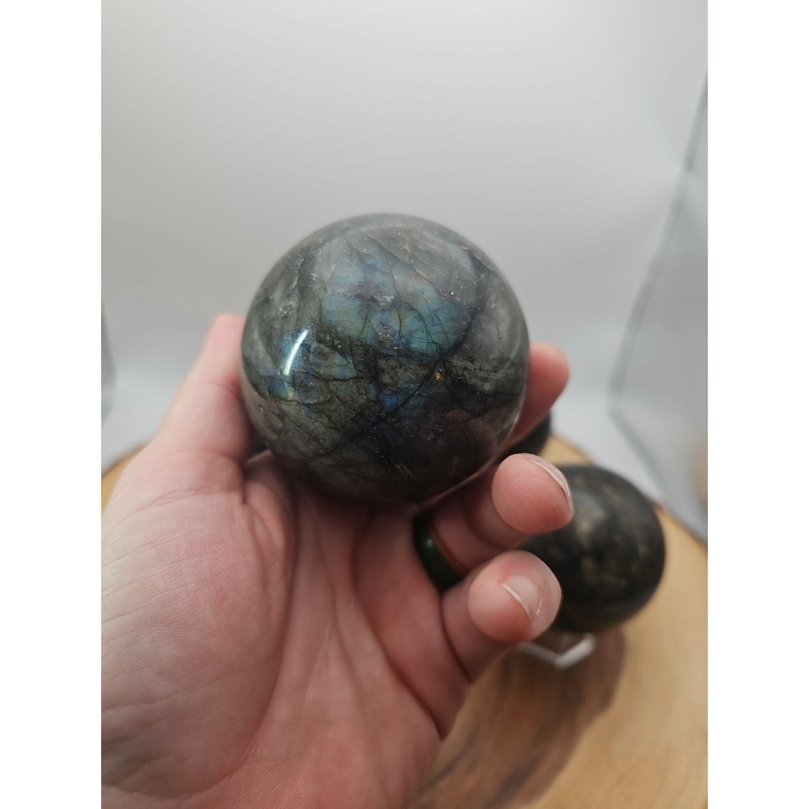 1LB 1Pcs Natural Rainbow Labradorite Crystal Sphere Ball Polished w/stand by CrystalCloud Company