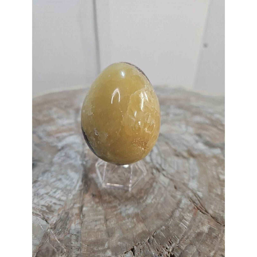 9.0oz Natural Septarian Dragon quartz Crystal egg Mineral Specimen W/Stand by natural